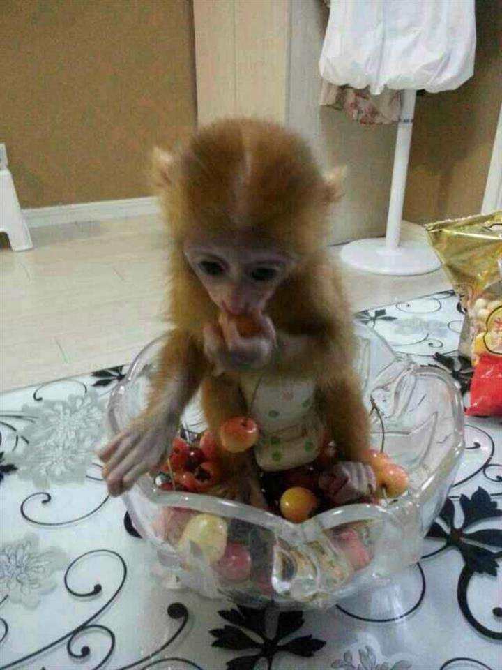 哪个银行开存款证明不需要冻结